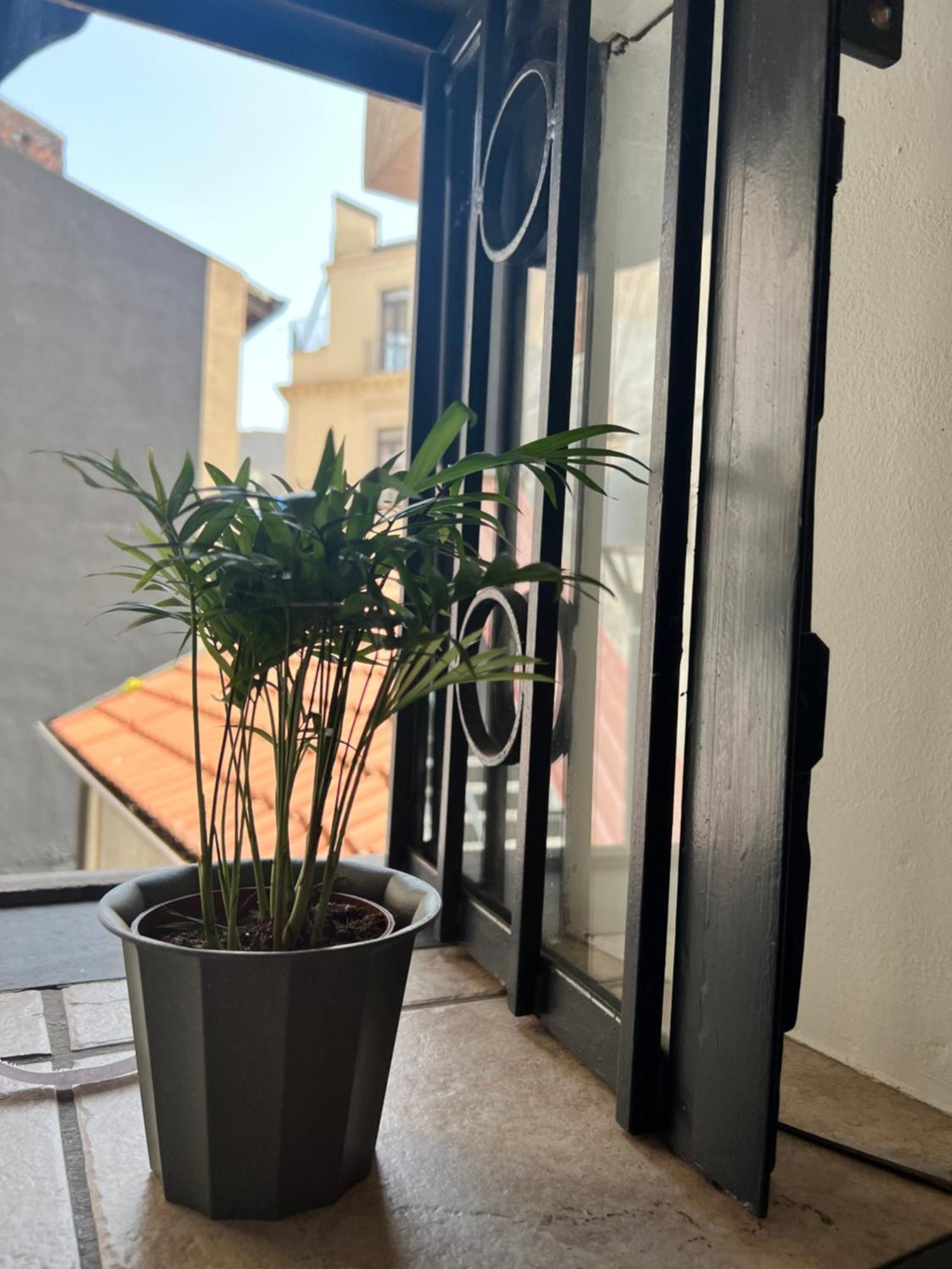 Holiday home Catania,sicilia,italia Barcaioli's